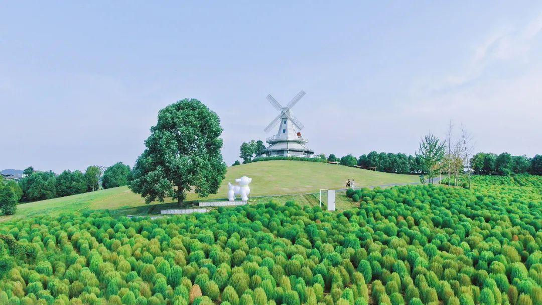 8月出游去哪儿？20条精品旅游线路带你畅享假日活力