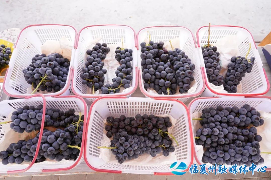 永靖：“邮”助三农田间美味“次日达”