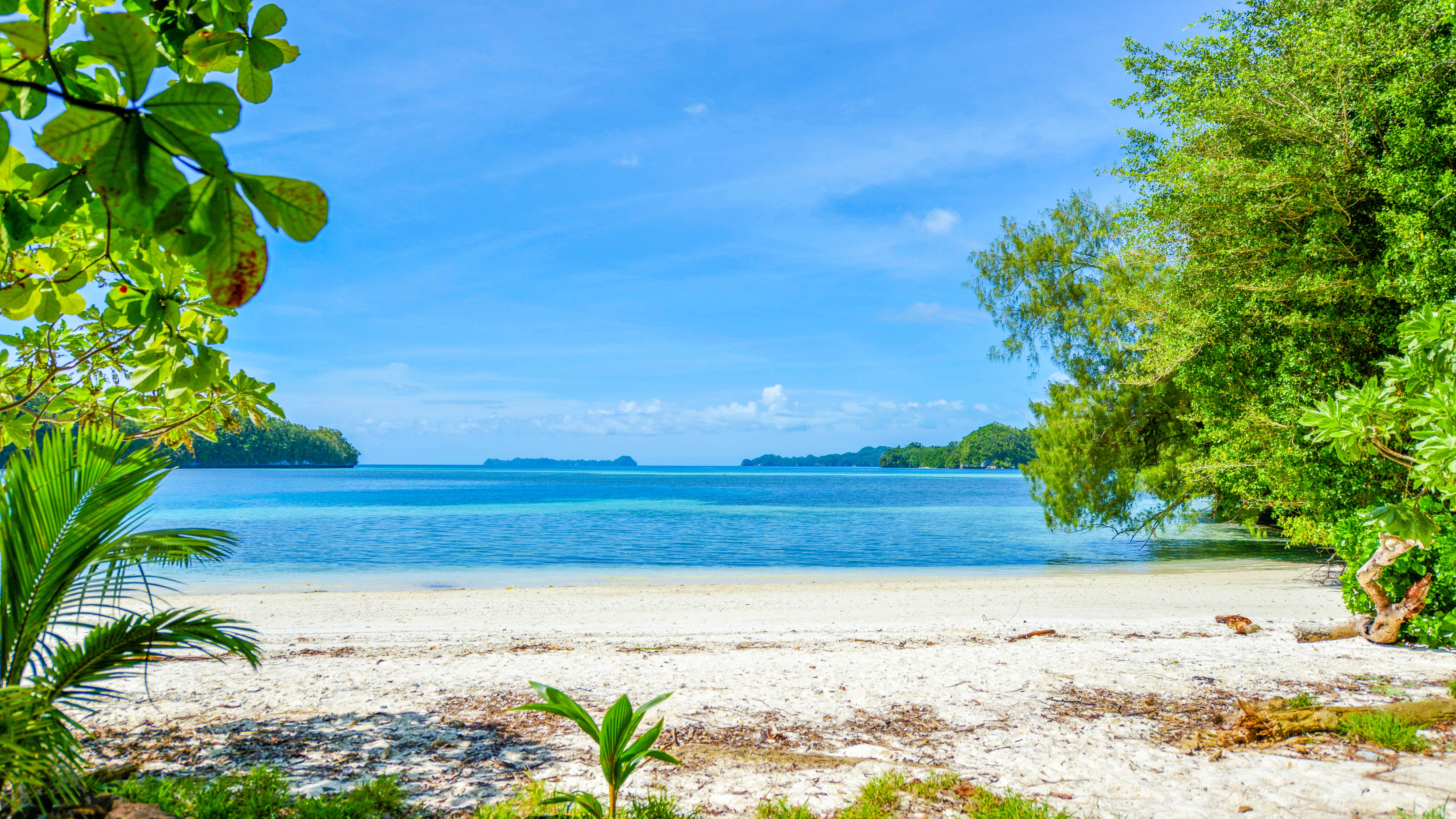 孤悬在太平洋上的岛国,帕劳,人生最值得一去的旅游目的地之一