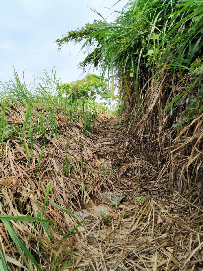 郴乐古道之水头江宜乐古道--广东省乐昌市庆云镇