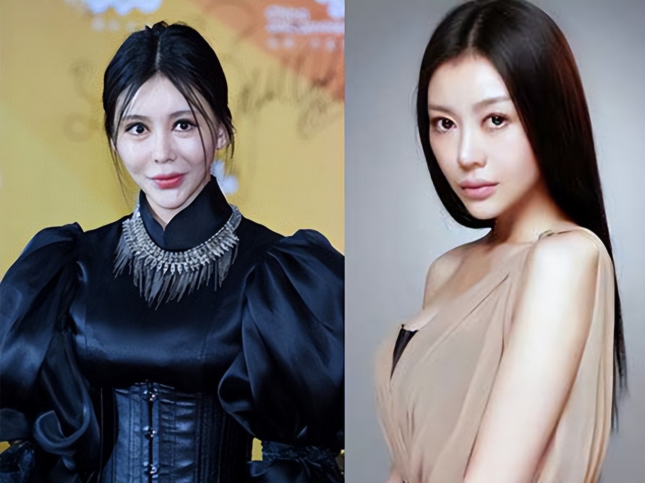 娱乐圈的整容脸,为什么娱乐圈那么多整容脸