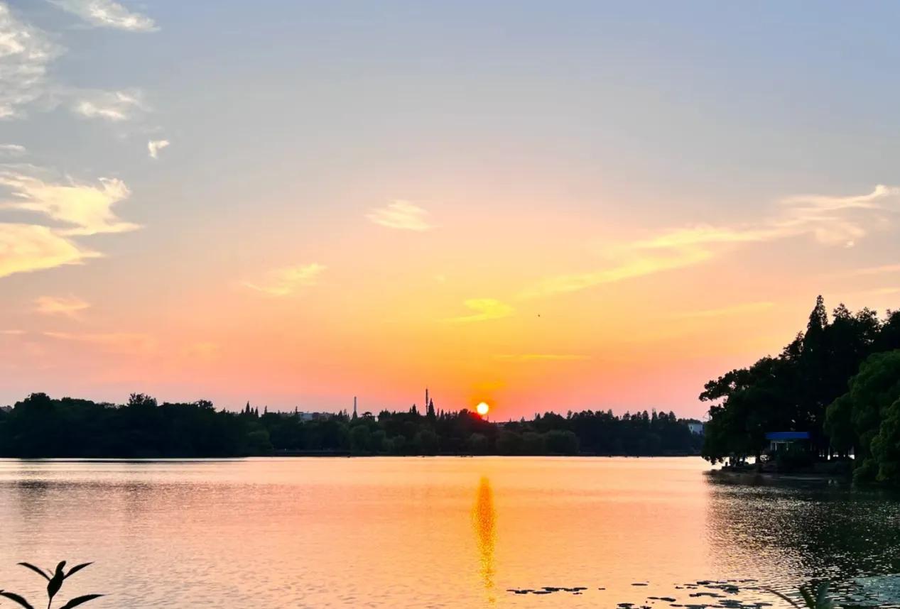 四川眉山选调生公务员待遇,四川普通选调生的待遇