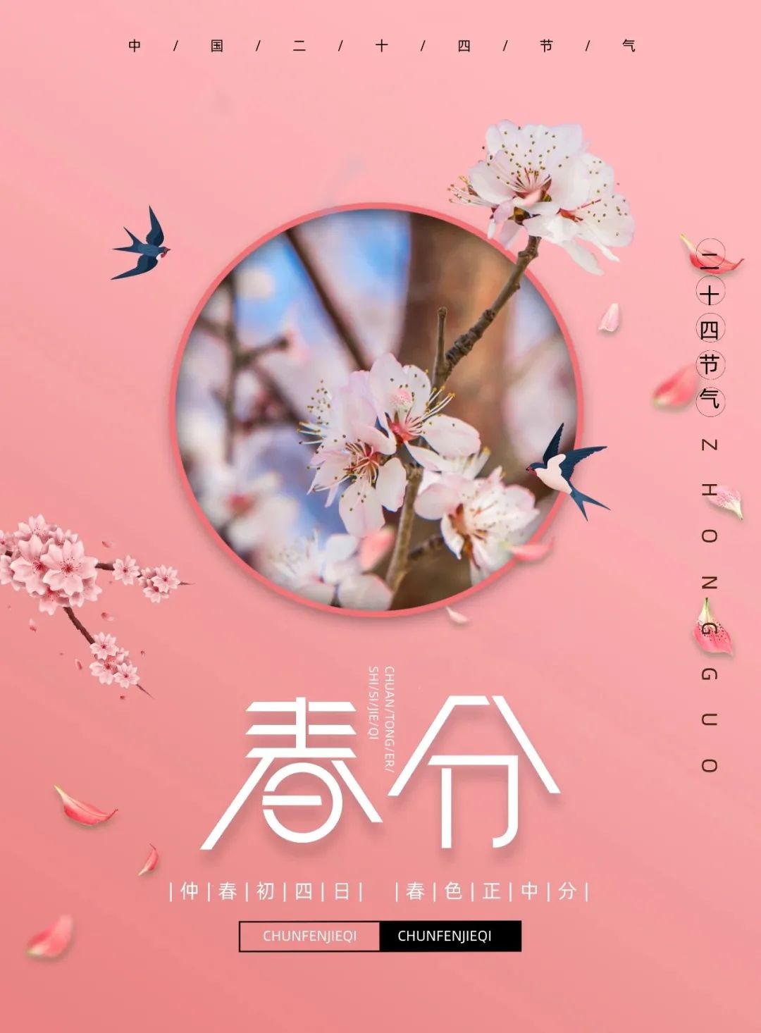 早安春分的祝福图片,今日春分早安心语