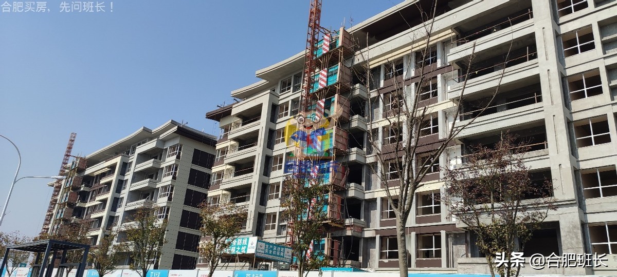 大力开发的滨湖西成色如何，班长跑遍16个项目带你看真实的板块