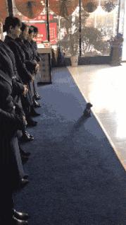 大爷你这是刚挖煤回来吗，另外你这车还挺个性的，这方向盘牛