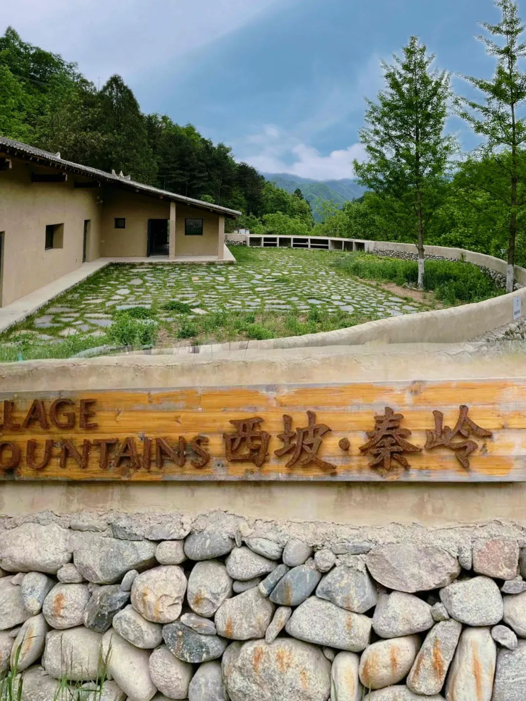 追梦惟奋斗强企有青年——西北饭店开展五四青年节主题团日活动