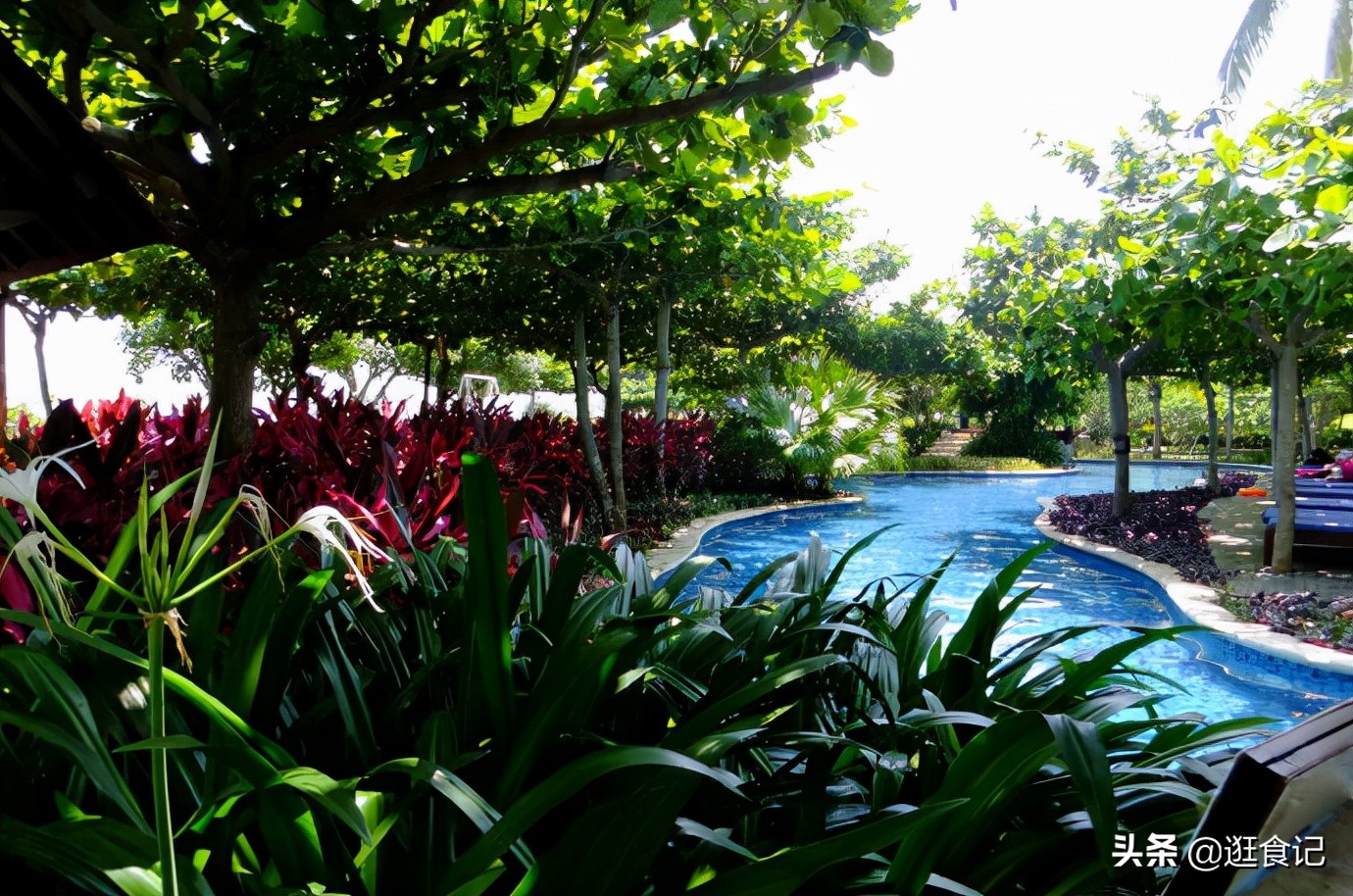 三亚亲子游亚龙湾天域酒店,亚龙湾天域和亚龙湾红树林