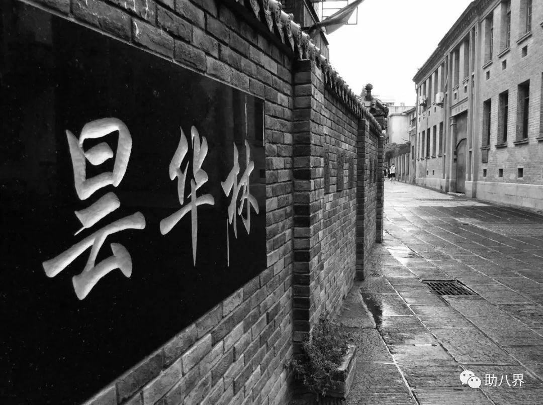 武汉十大旅游景点排名,武汉江夏网红打卡景点大全