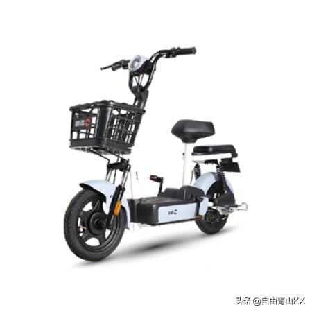 电动车哪个品牌质量最好耐用,哪个品牌的电动车质量和性能最好