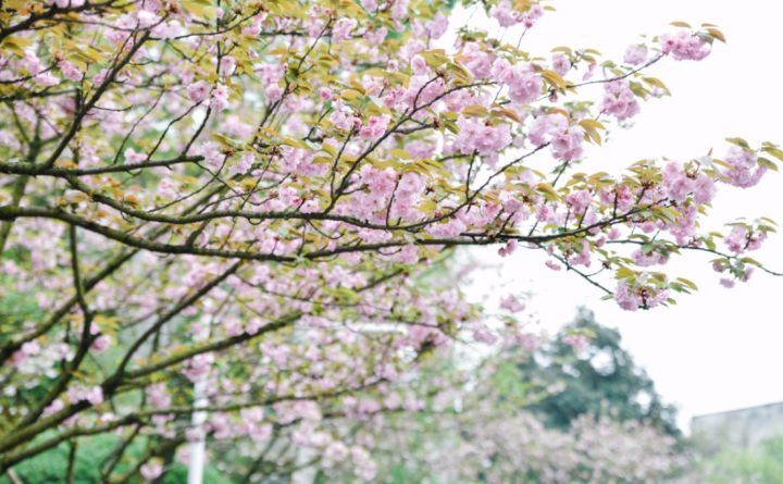 重庆主城小众打卡地,重庆周边小众自驾旅游