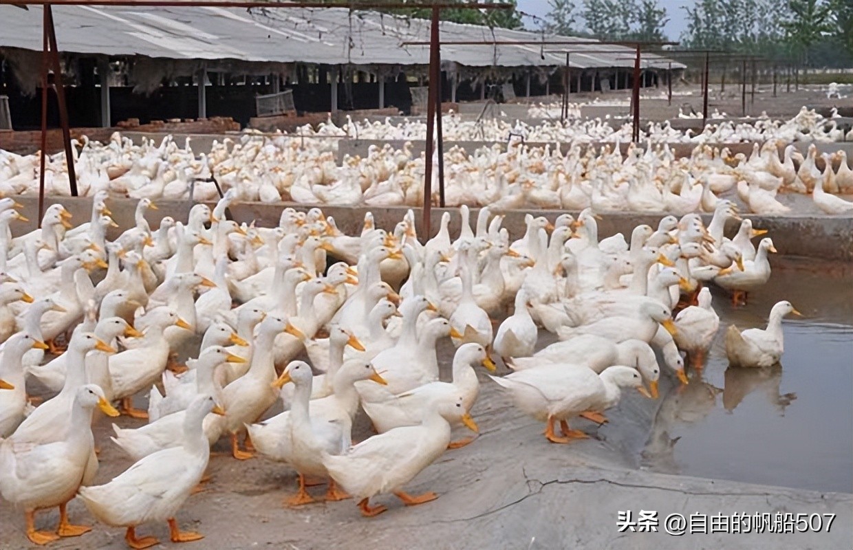 辽宁省鞍山市台安县地图,辽宁省鞍山市台安县顺丰