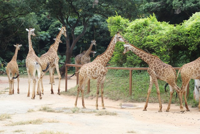 冬季深圳短途自驾一日游,广东深圳出发一日游必去景点推荐