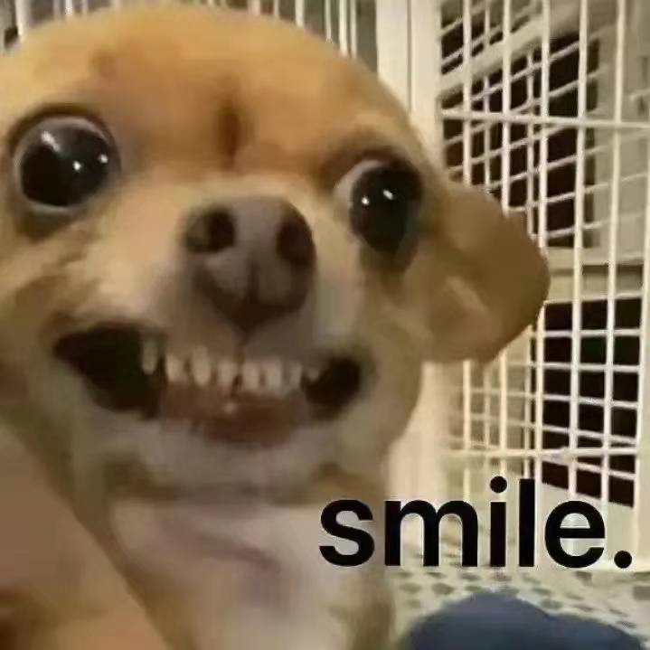 全日制自考本科助学班考研,全日制自考助学班到底什么意思