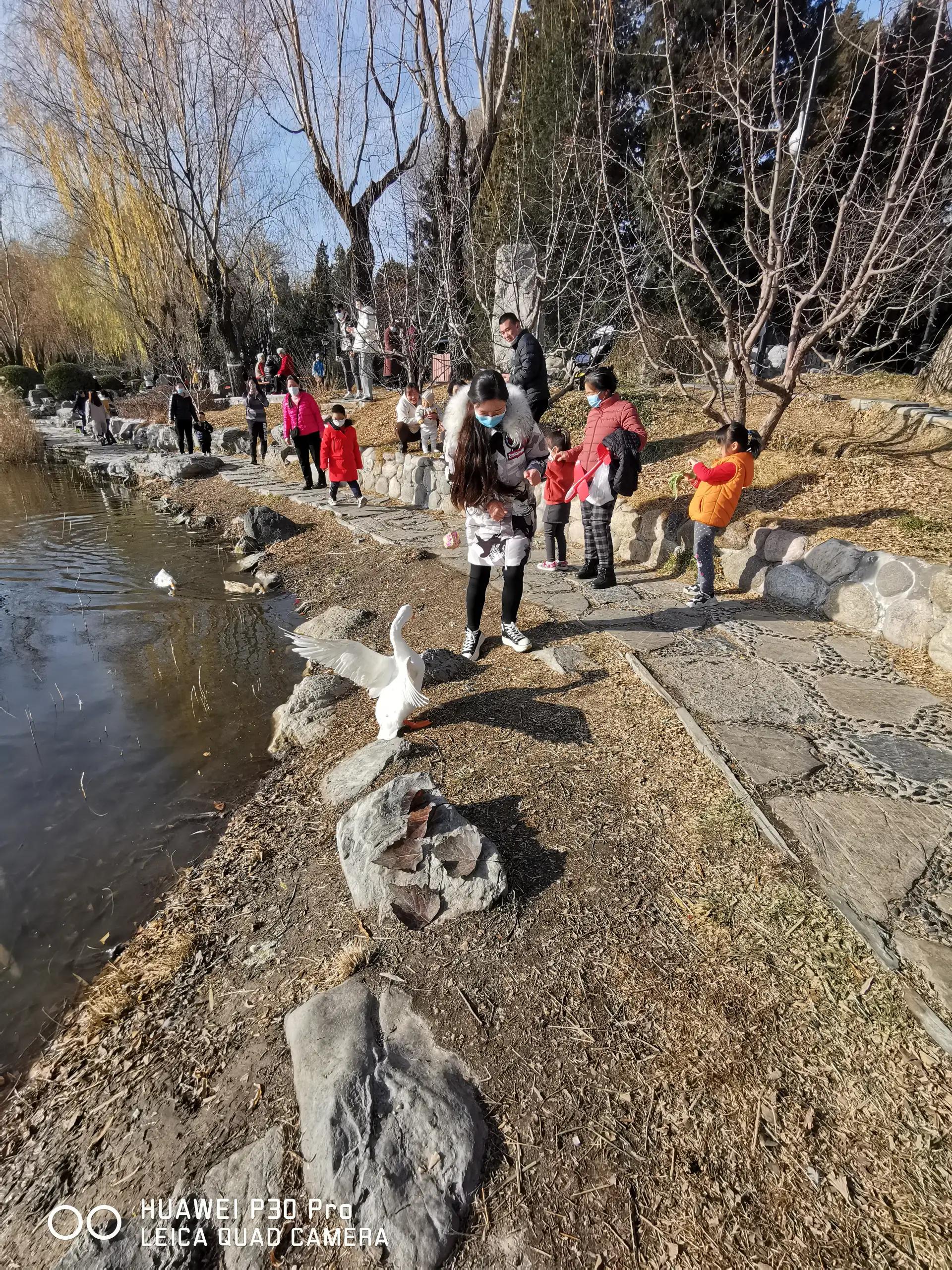 感觉如何产生,感觉如何解释