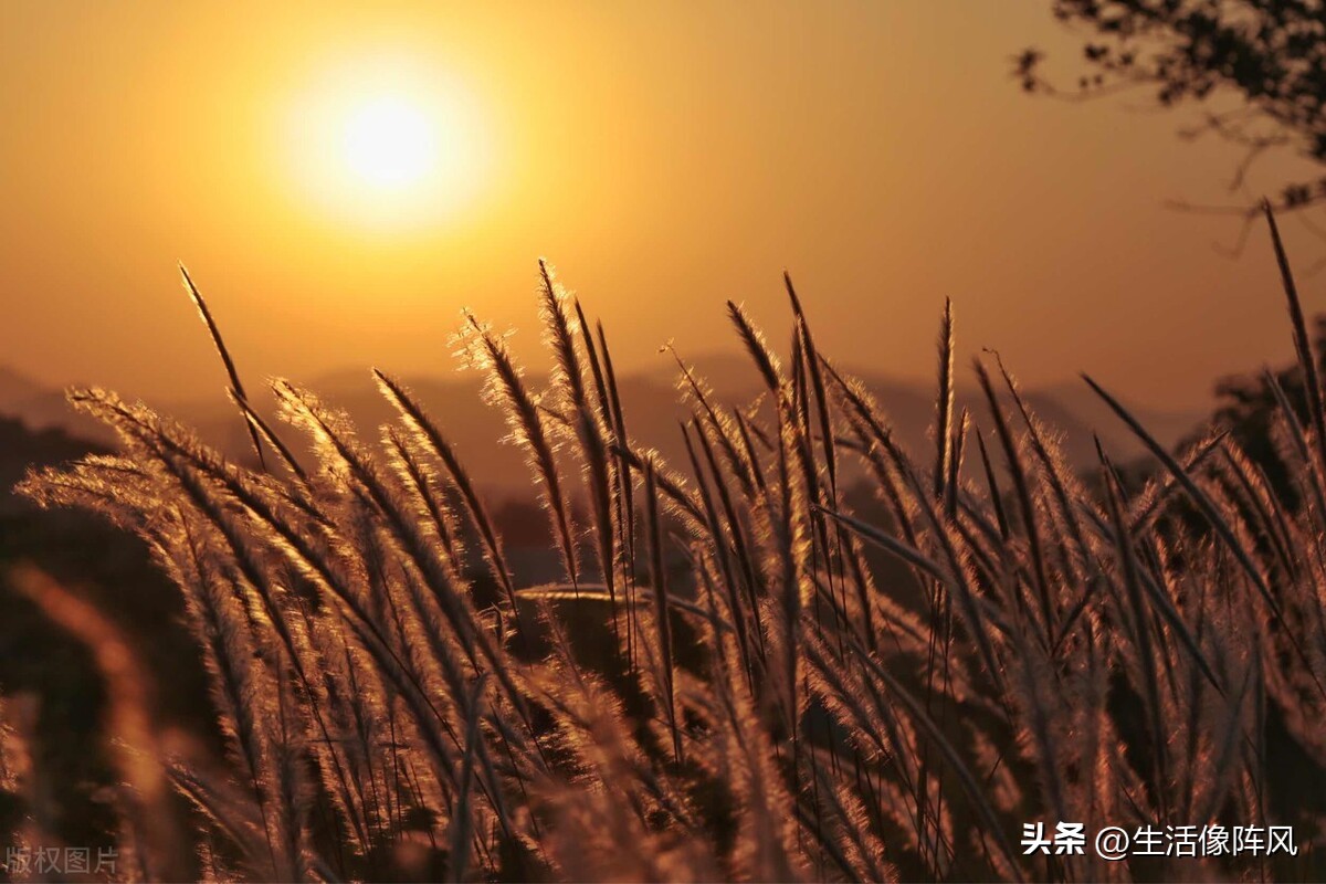 被疫情偷走的这三年文案,被疫情偷走的这三年旅行