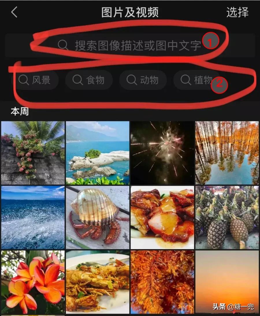 怎么快速搜索微信聊天记录,怎么搜索聊天记录图片