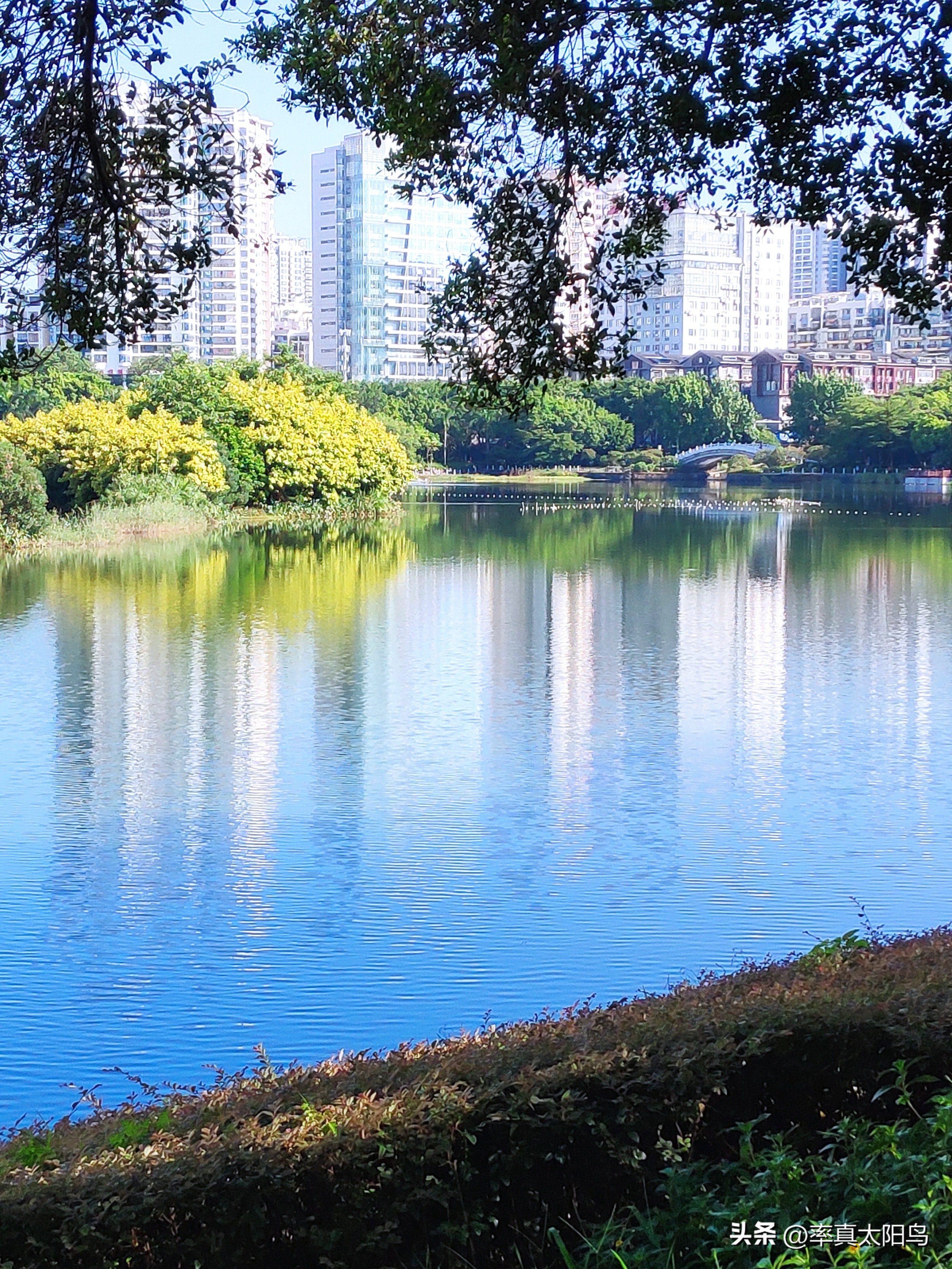 秋水之韵文章,秋水之韵抖音