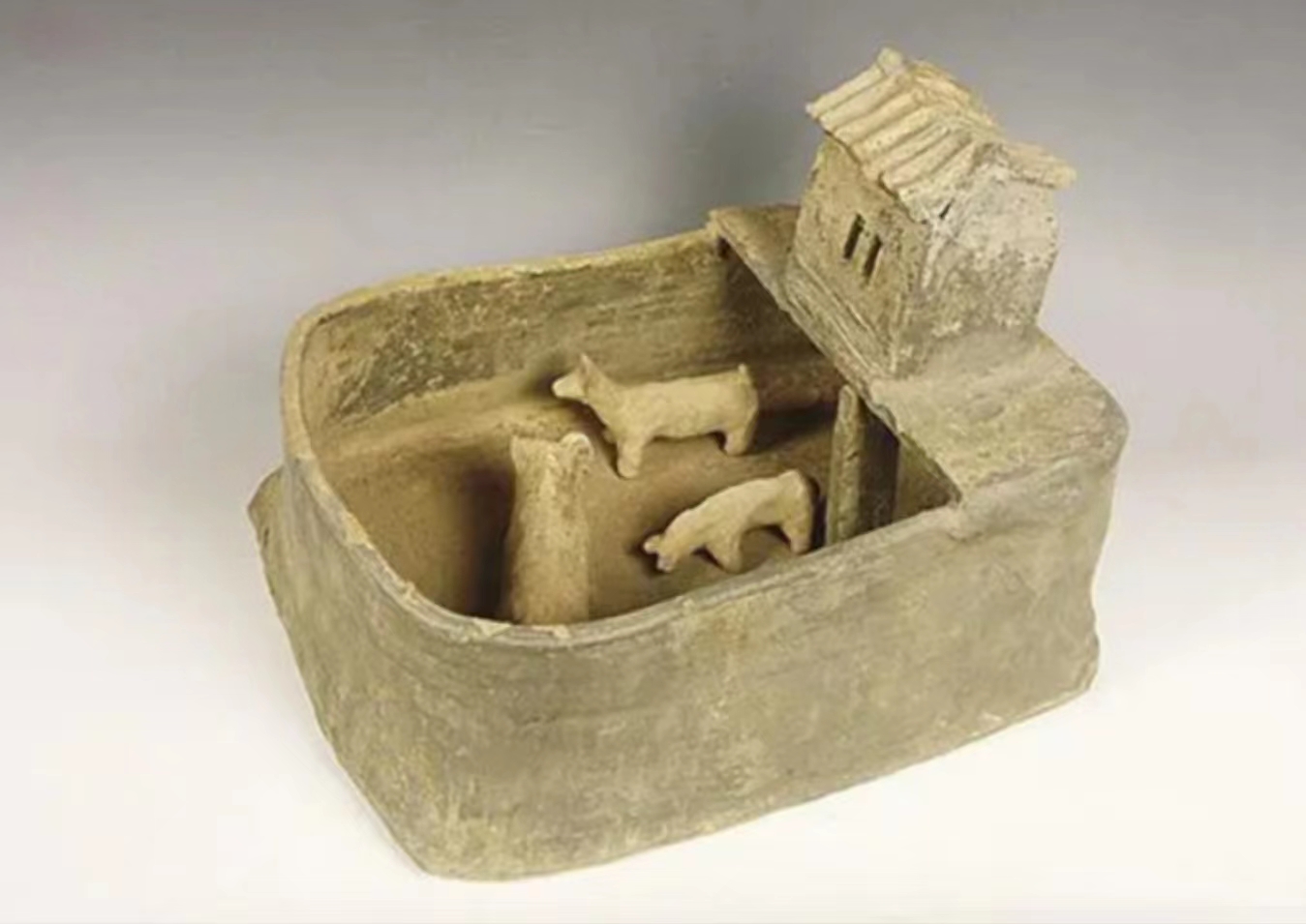 【随学随思】“上“厕所有感-知识与逻辑的自洽（文）