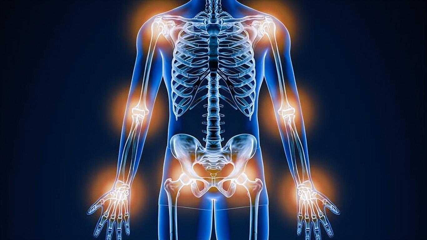 人体中六个最没用的器官,人体消失的七种器官