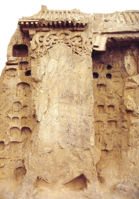 总有一种美会惊艳到时光,有一种玫瑰永不凋零