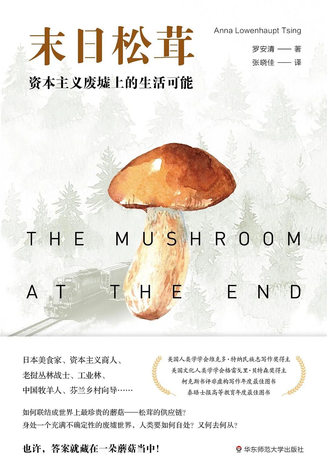 最后一个生还者,最后的生还者为何不拯救世界