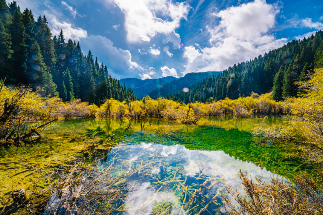 一天来回！别名“小九寨”的油画秋色、高山草甸，一站式游玩到底