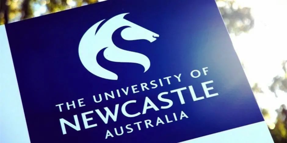 绾藉崱鏂皵澶у宸ュ晢绠＄悊纭曞＋鐢宠,绾藉崱鏂皵澶у宸ュ晢绠＄悊纭曞＋瑕佹眰