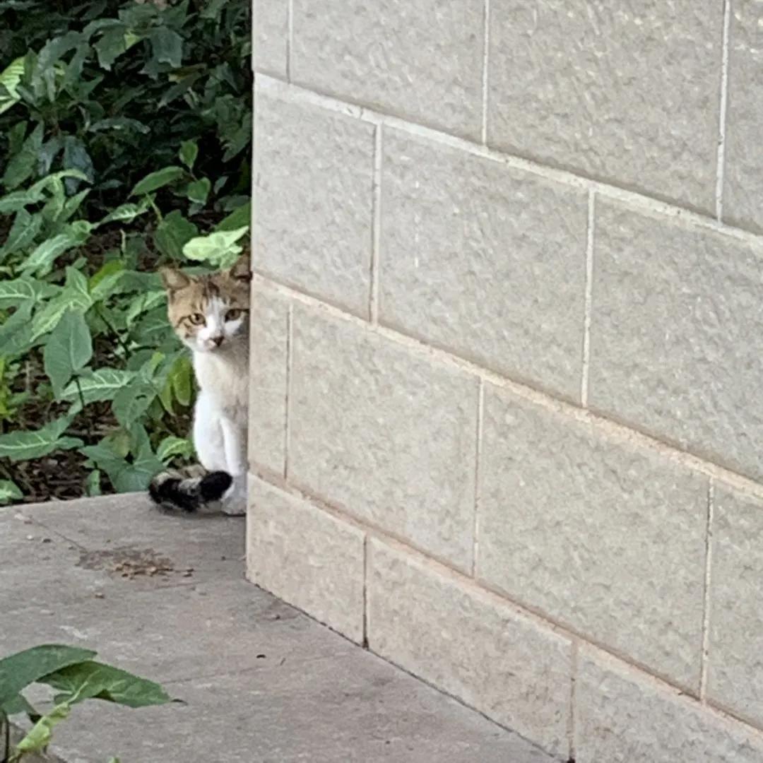 广州比较悠闲安静的地方,广州悠闲看风景的地方