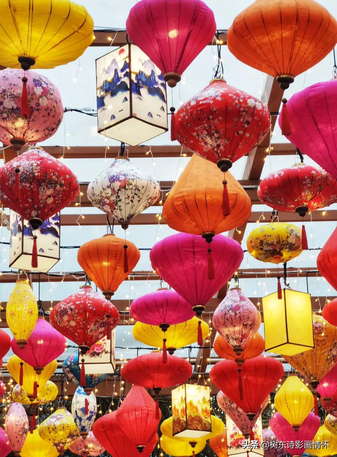 三亚红树林三亚特色,感受春天的气息和享受春天的美景