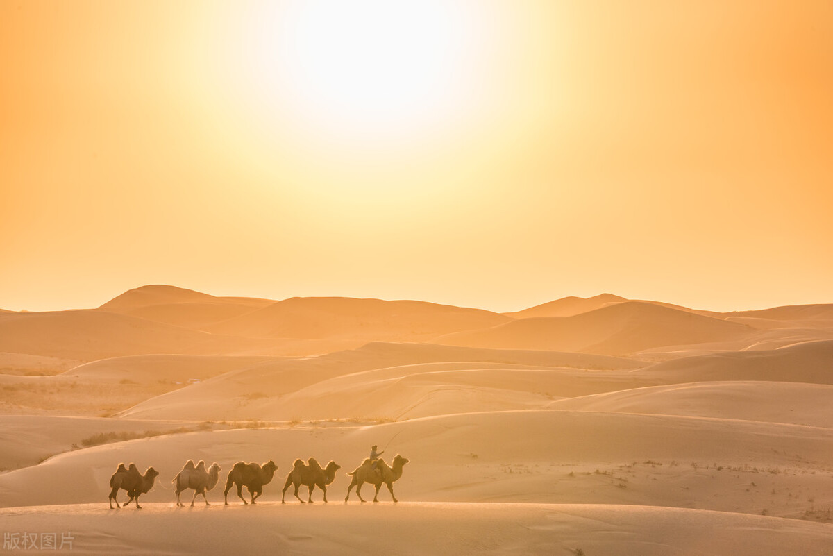 十六岁生日这天，年轻人要亲吻心仪姑娘，前提是姑娘愿意接受亲吻