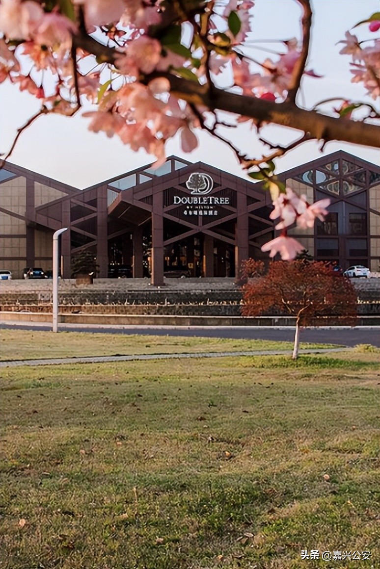 嘉兴人能领的补贴,嘉兴市民发放2亿券