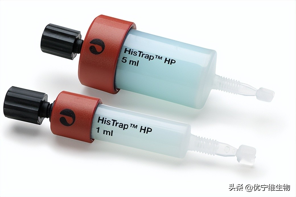 Cytiva预装柱填料大揭秘上（预装柱介绍篇）