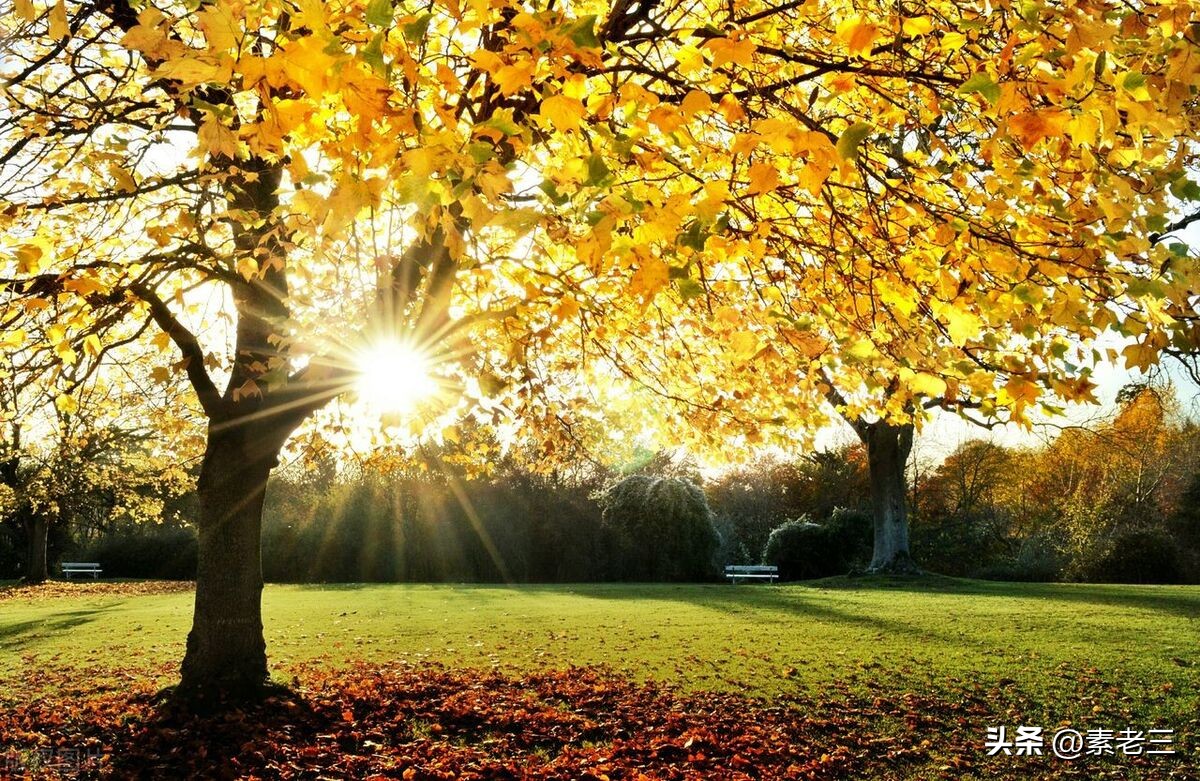 女作家去做保姆446,女作家去做保姆825