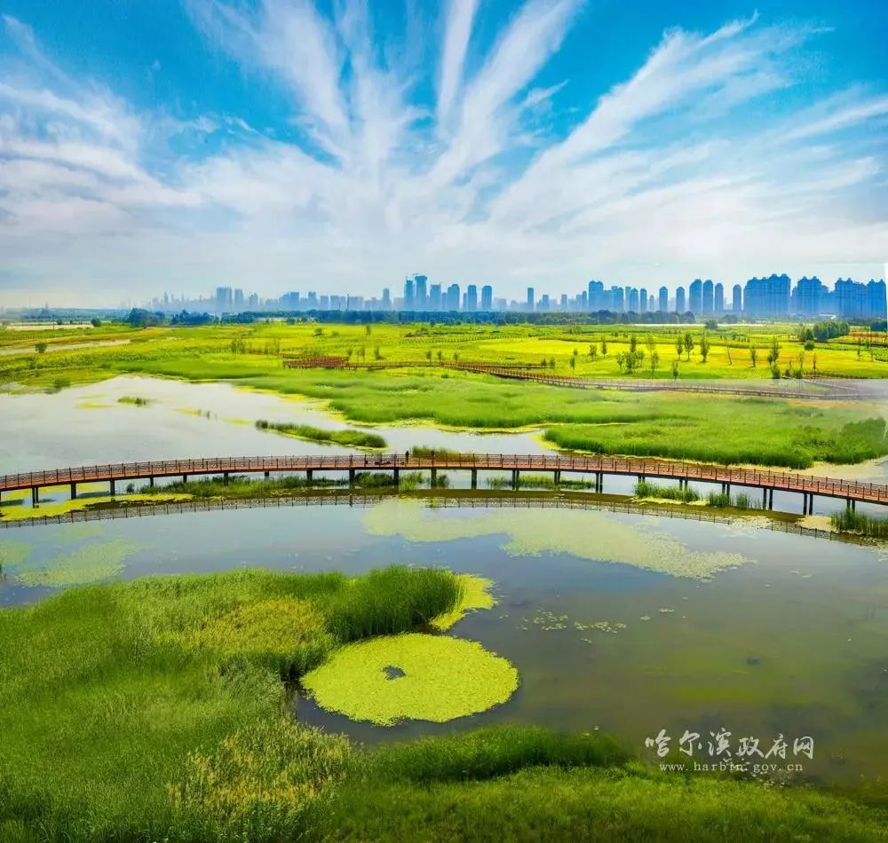 鏃跺厜浜ら敊鏈楄,鏃跺厜浜ょ粐