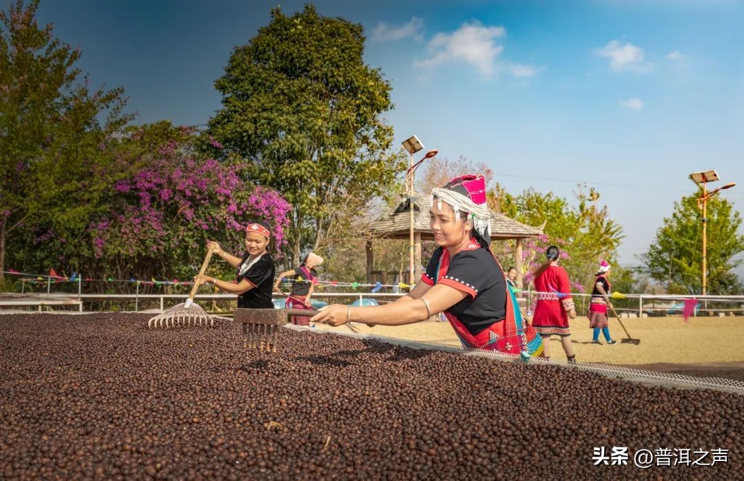 普洱咖啡主题电影《一点就到家》荣获华表奖优秀农村题材影片奖