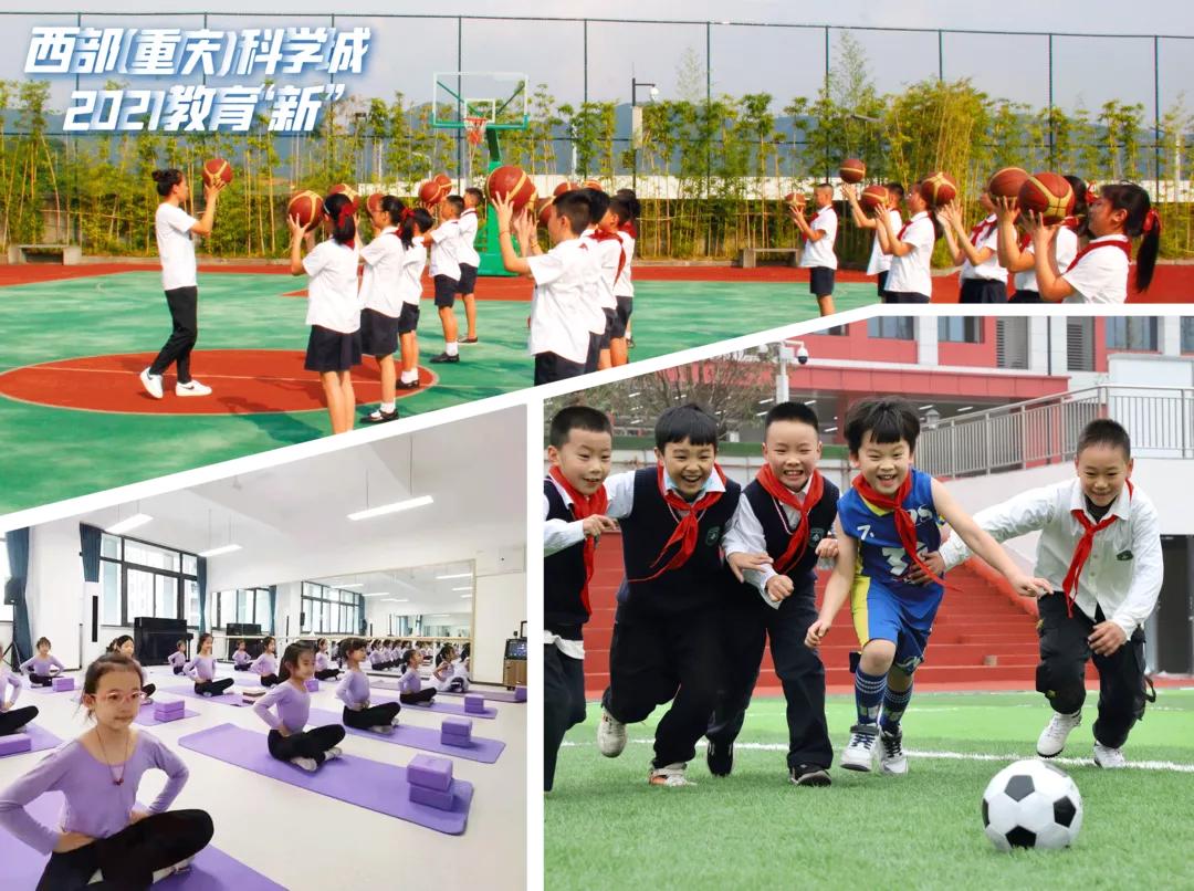 科学城片区学校,科学城教育机构