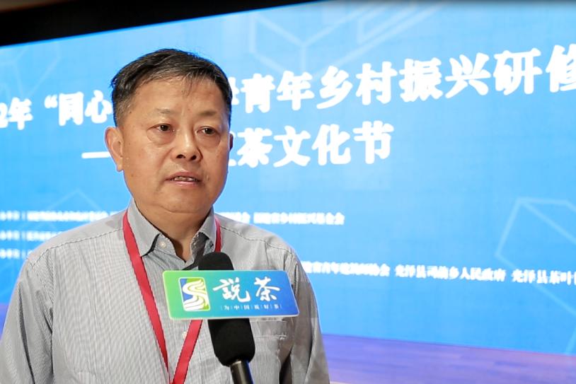 红茶最新的产品标准号,红茶各品种测评标准表最新