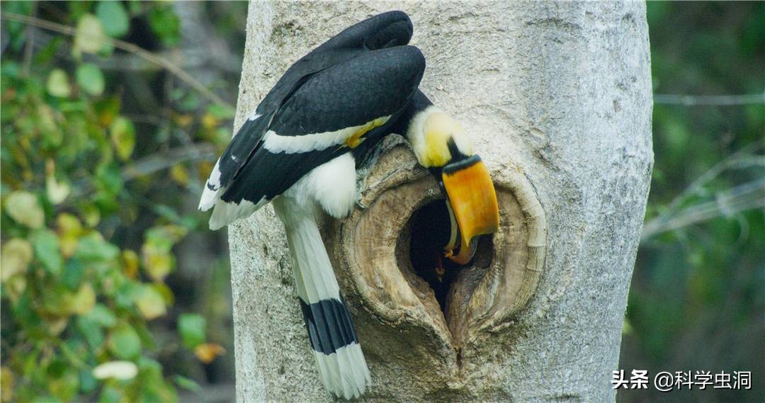 天津女子购买吊坠最终判决,天津女子购买项链吊坠获刑10年