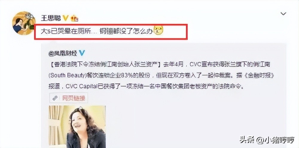 大s面对汪小菲的指责,大s被张兰狂怼