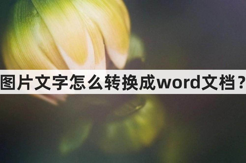 microword图片怎样转换成文字,手机如何图片文字转换word文档