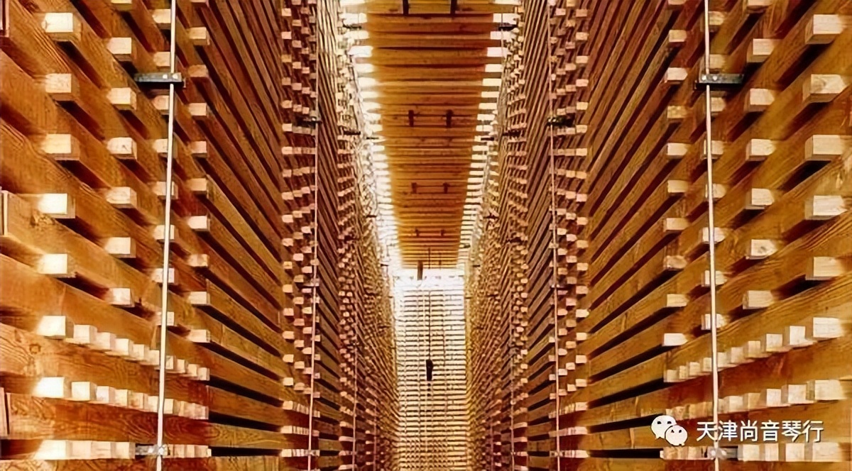 实木顶杆和ABS塑料哪个好？尚音琴行告诉您