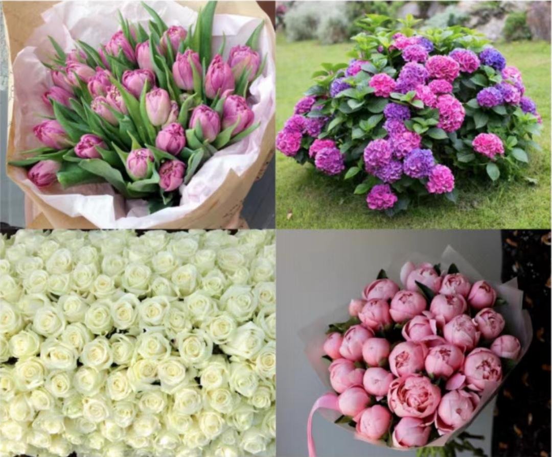 喜欢我我的梦想,我喜欢理想