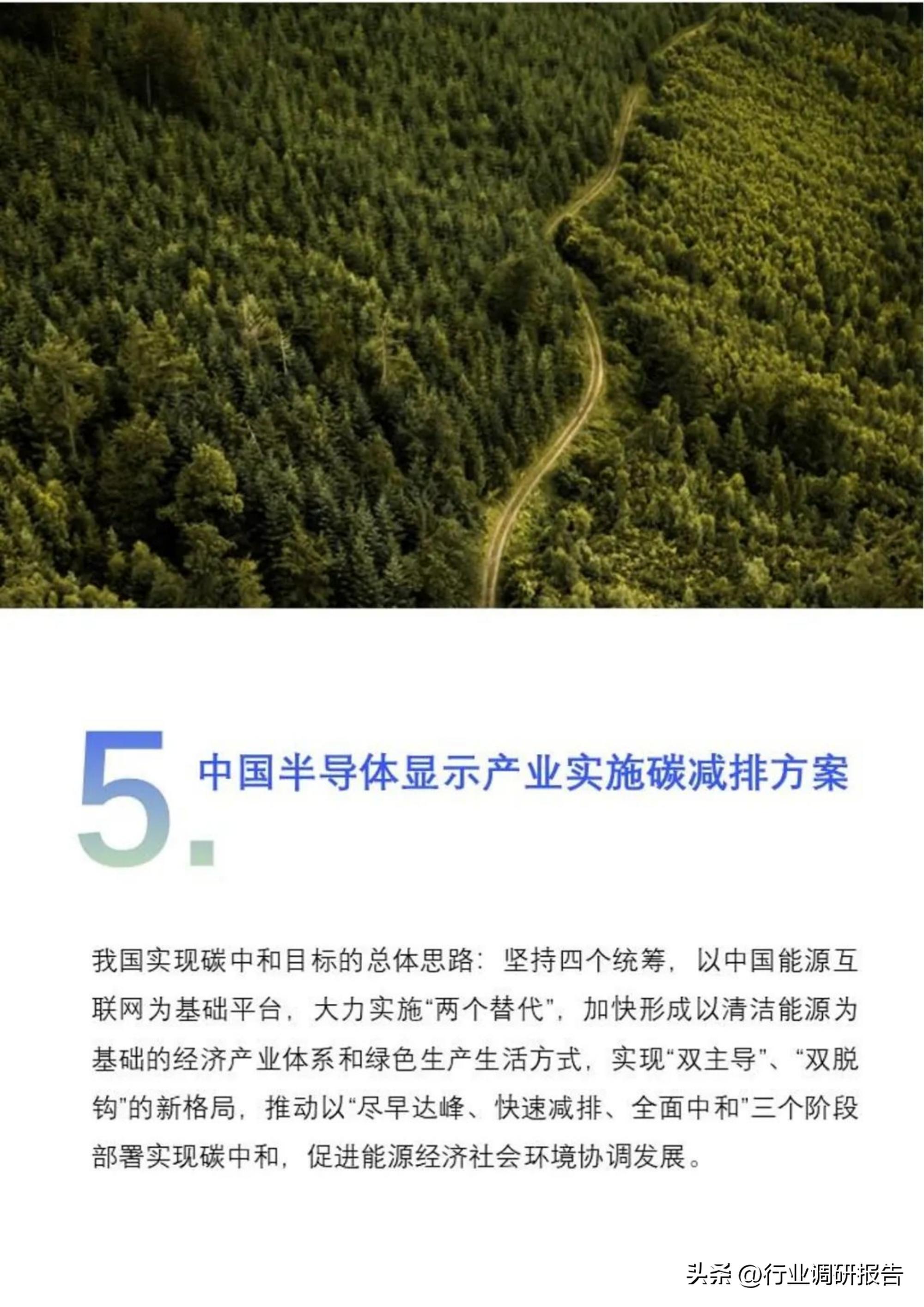 2022年中国半导体显示产业碳中和白皮书