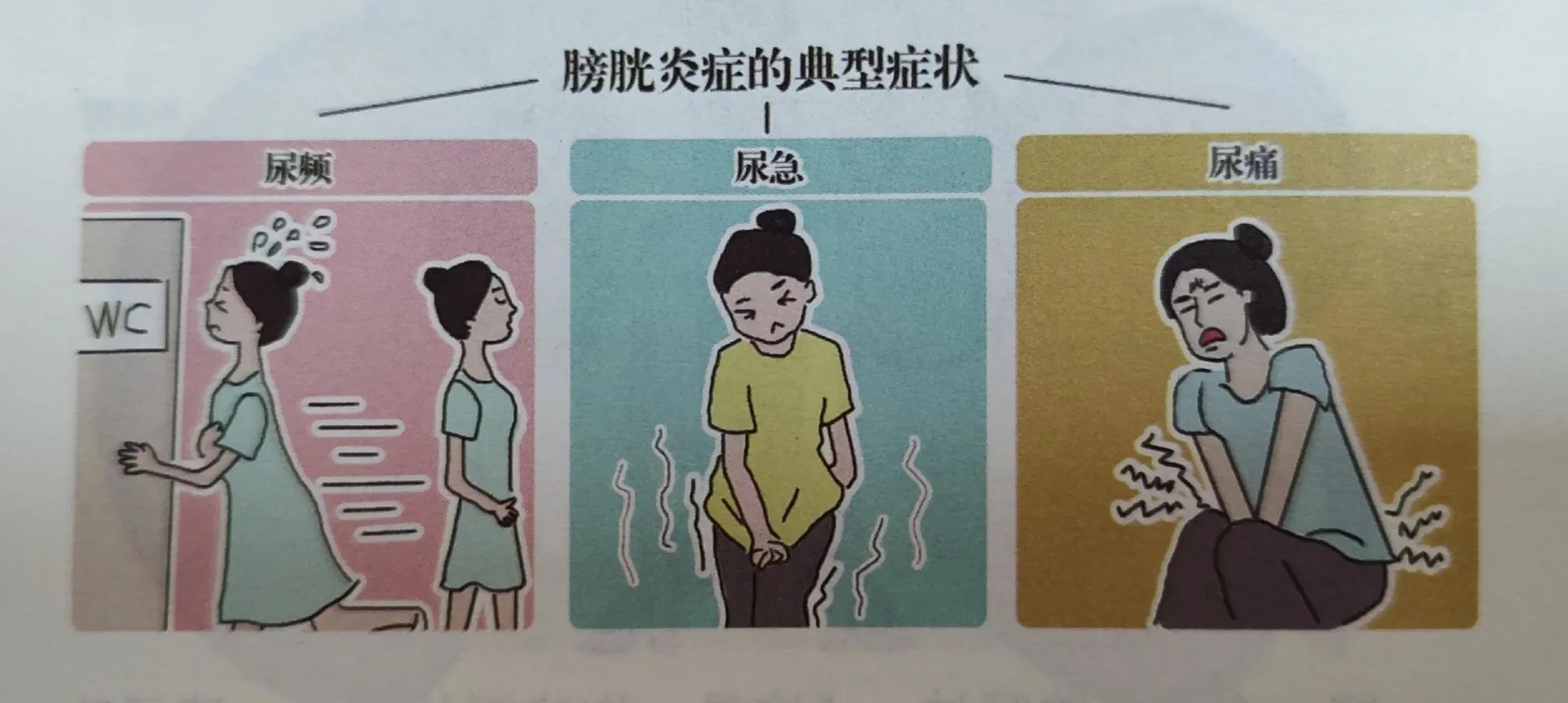 泌尿感染膀胱炎怎么治疗,急性尿路感染膀胱炎是如何引起的