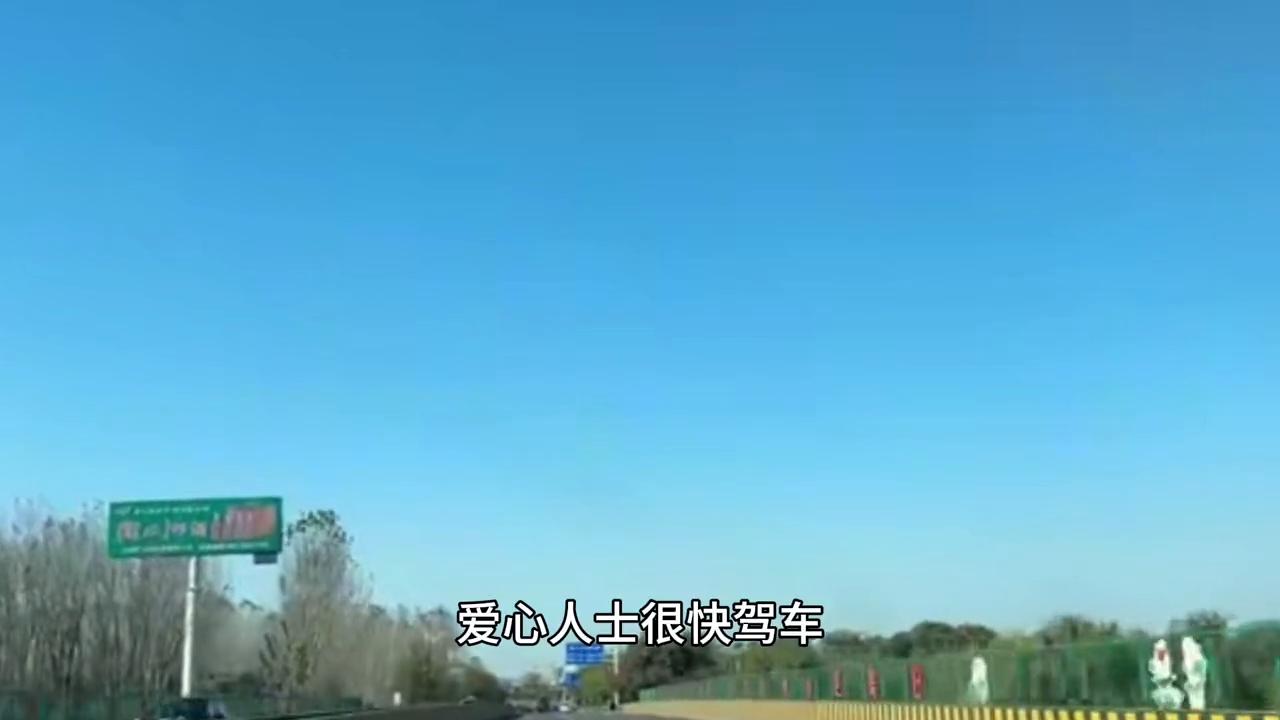 拉布拉多拿头撞狗,拉布拉多被车撞