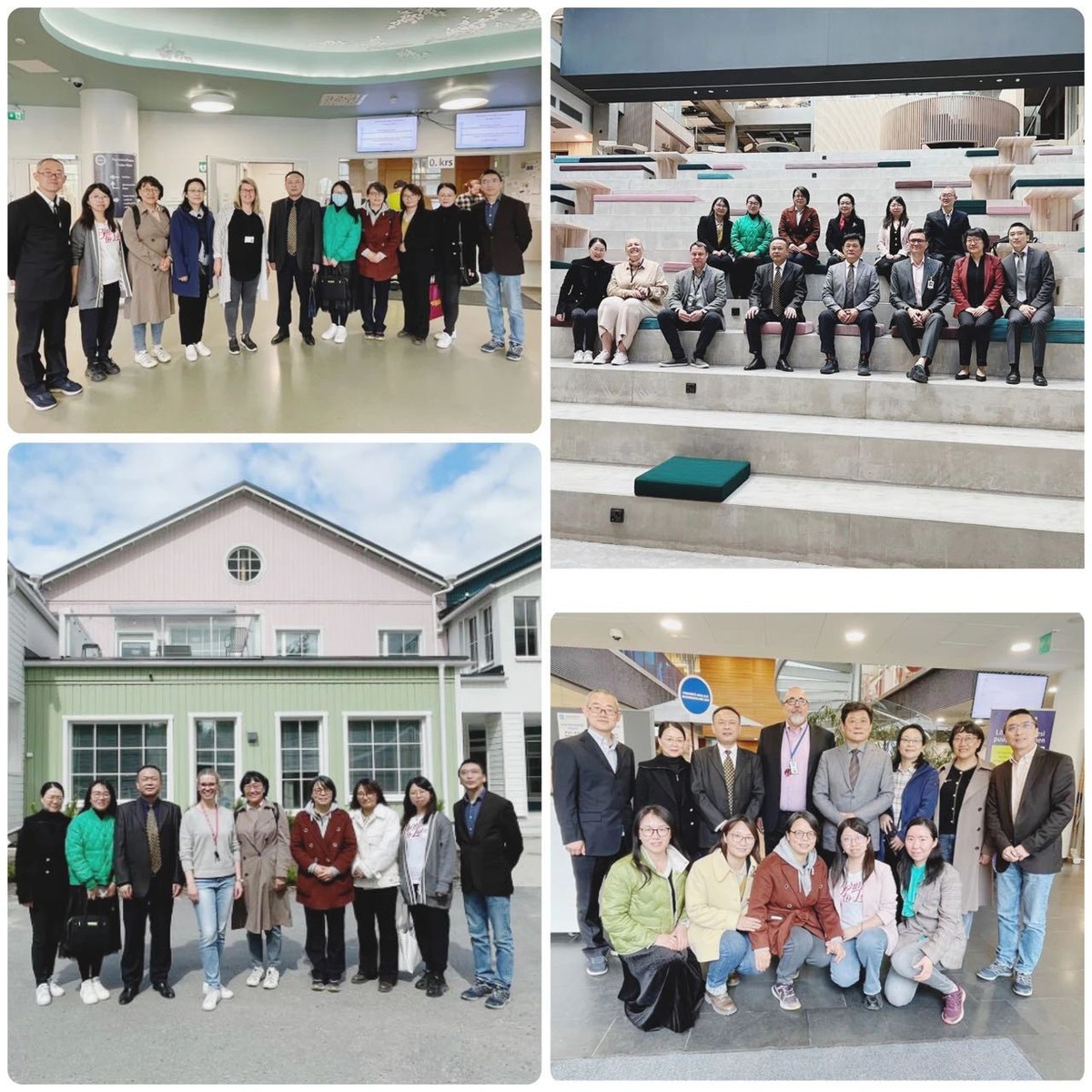 中国国际文化传播中心龙宇翔,龙宇翔联谊会