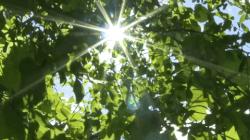 长坡厚雪最佳赛道,雪厚坡长的好赛道