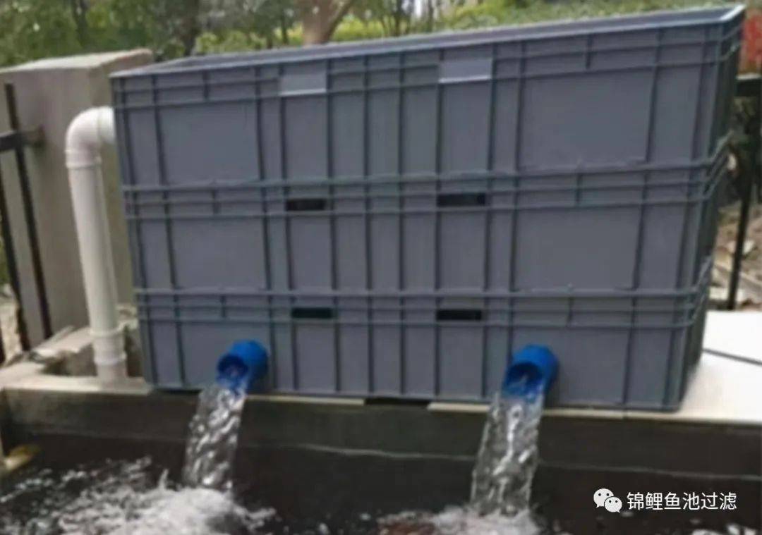 锦鲤鱼池过滤系统制作方法视频,锦鲤鱼池过滤高清详细设计图纸