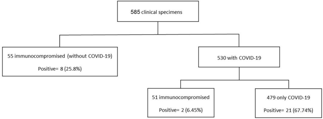hiv感染肺孢子菌肺炎,hiv患者检查出耶氏肺孢子菌
