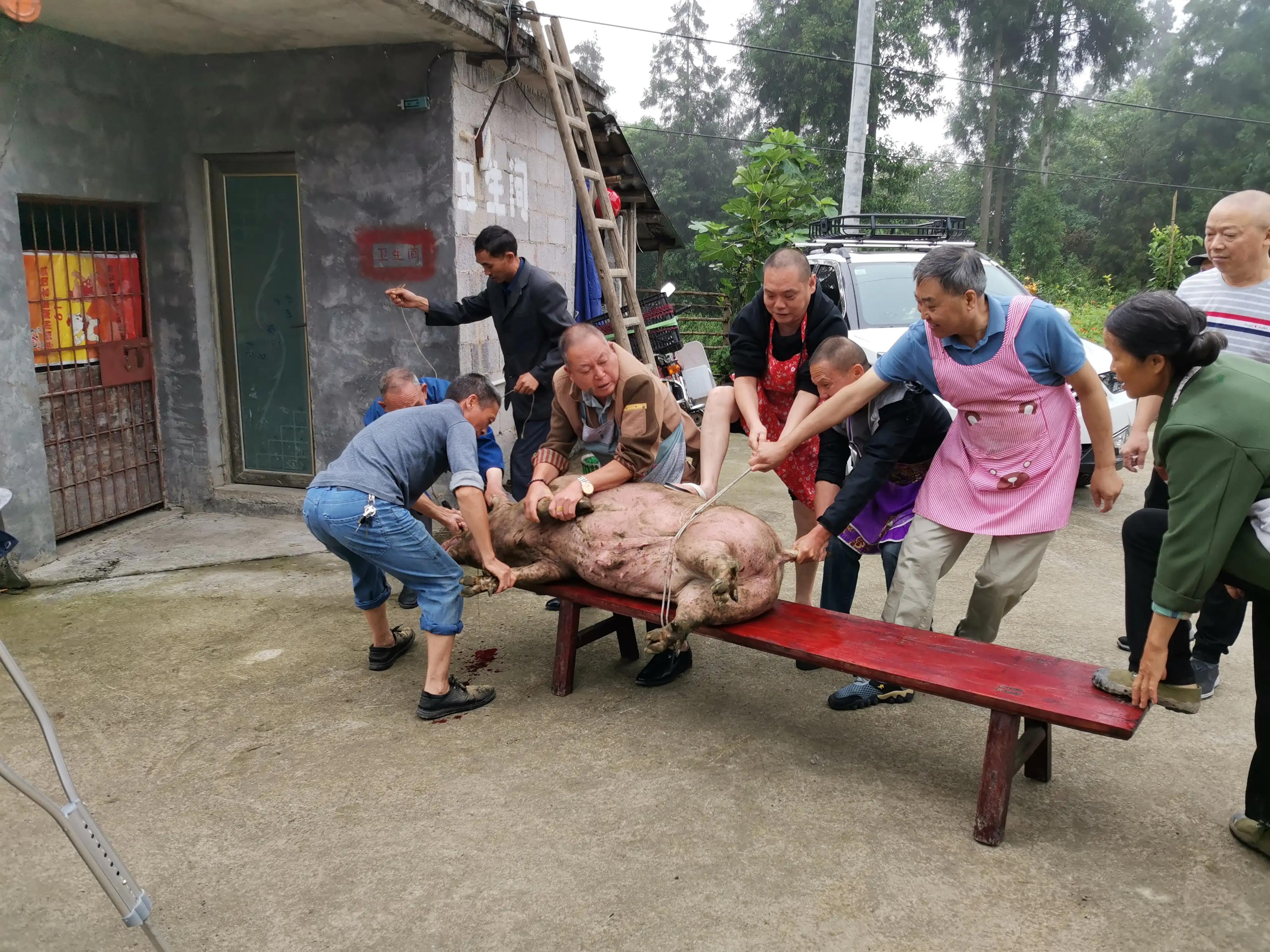 刨锅汤桐梓,刨锅汤餐厅遵义